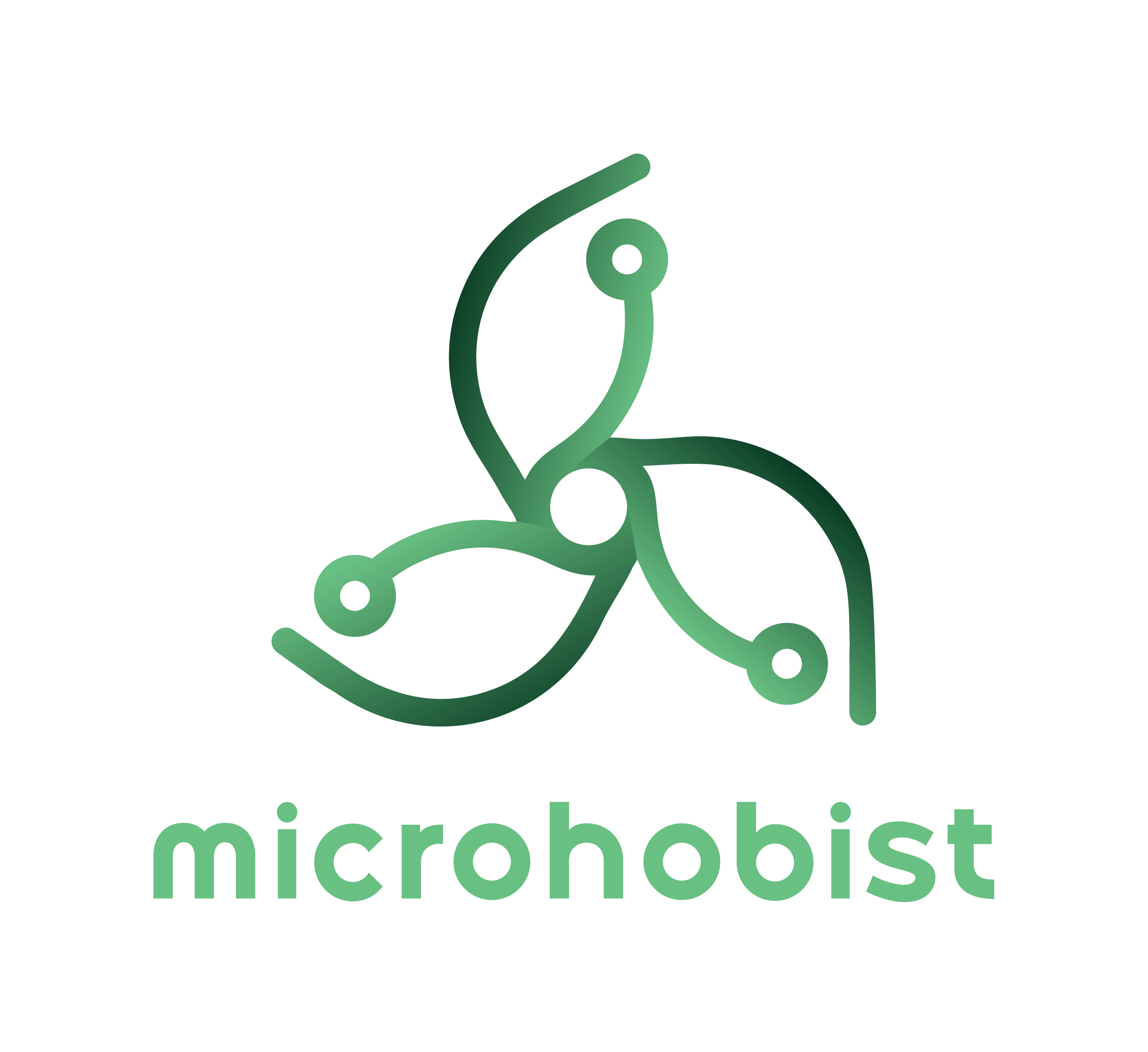 microhobist